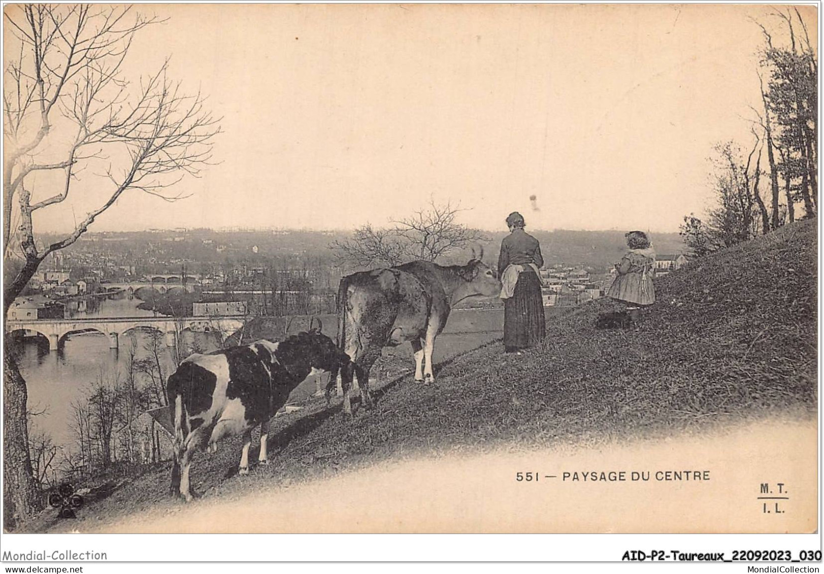 AIDP2-TAUREAUX-0089 - Paysage Du Centre  - Bull