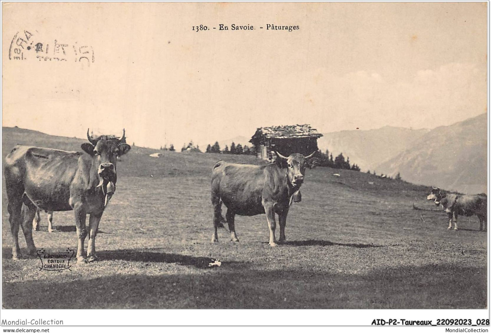 AIDP2-TAUREAUX-0088 - En Savoie - Pâturage  - Tauri