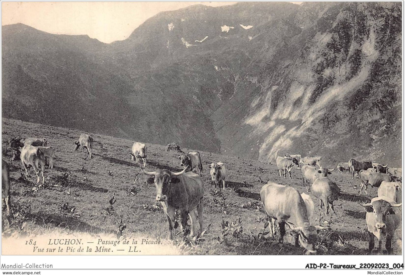 AIDP2-TAUREAUX-0076 - Luchon - Passage De La Picade - Vue Sur Le Pic De La Mine  - Bull