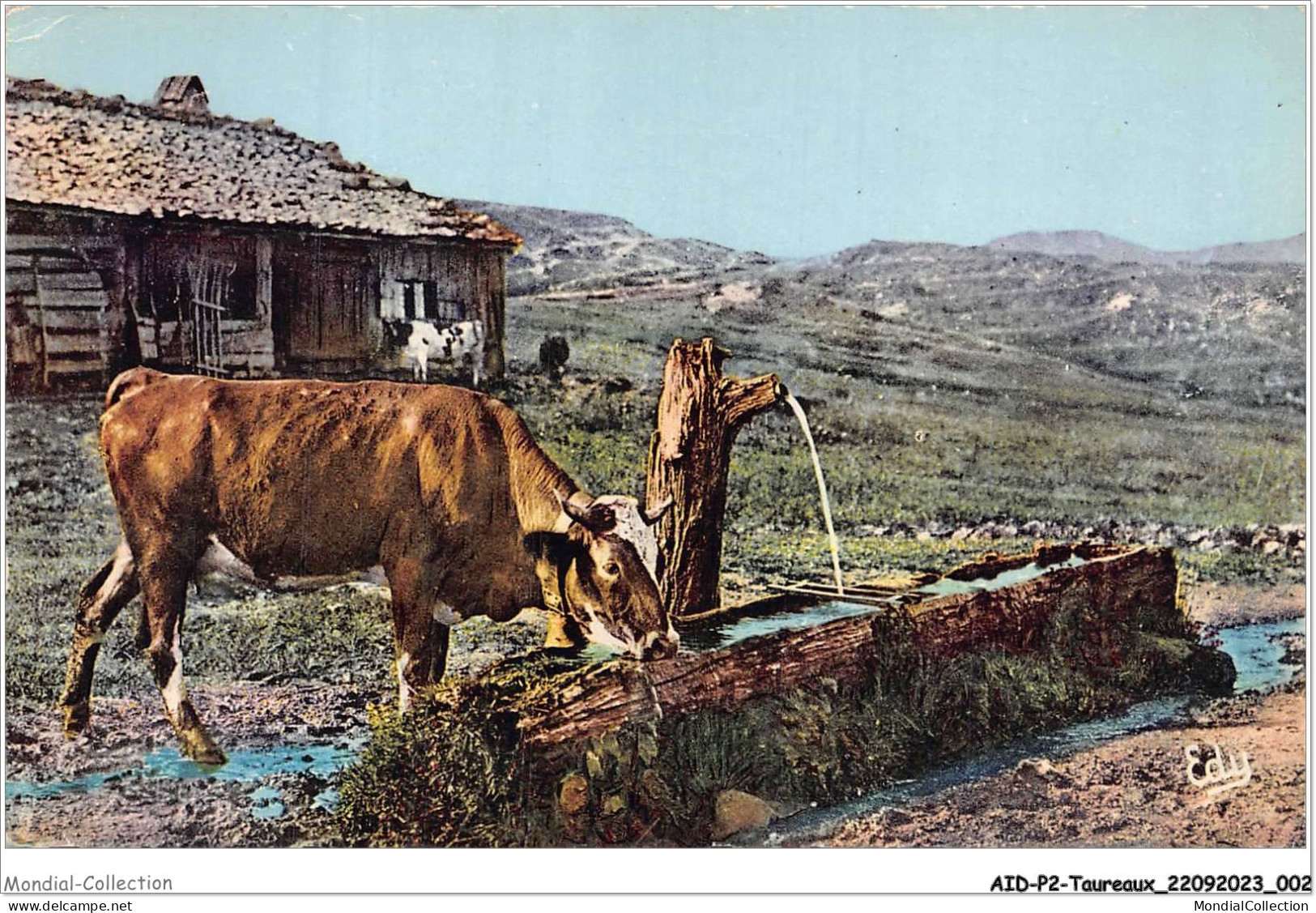 AIDP2-TAUREAUX-0075 - Alpes Pittoresques - Près Du Vieux Chalet - Une Vache â L'abreuvoir  - Bull