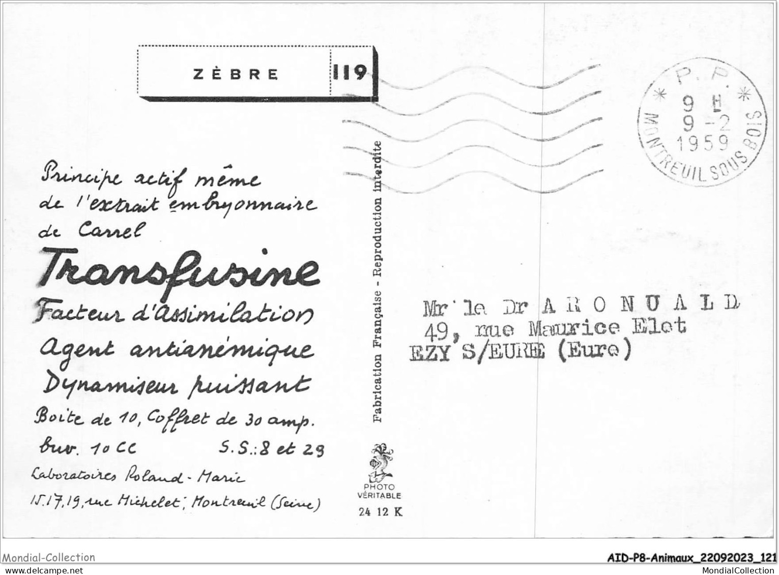 AIDP8-ANIMAUX-0743 - Zèbre  - Cebras