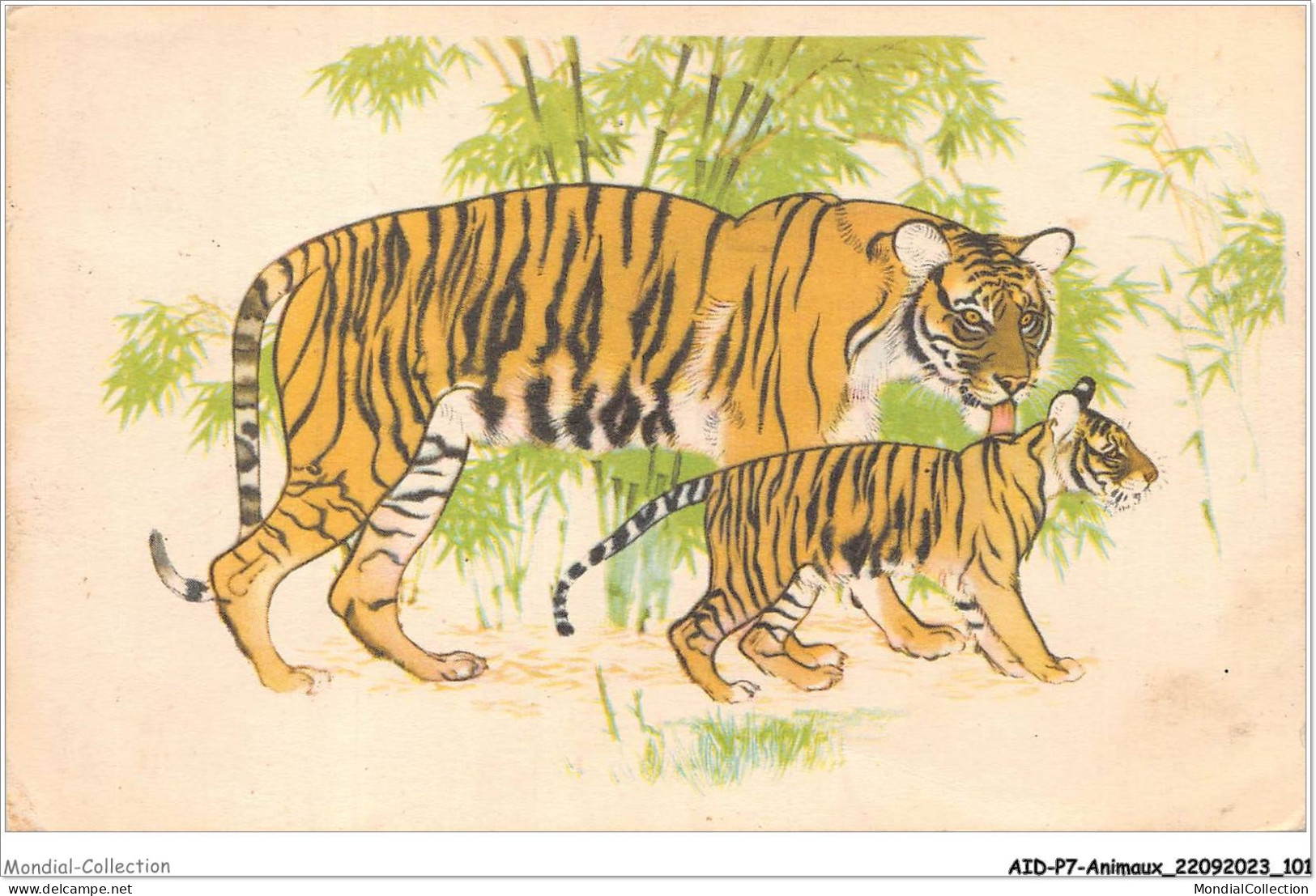 AIDP7-ANIMAUX-0634 - Tigres  - Tigers
