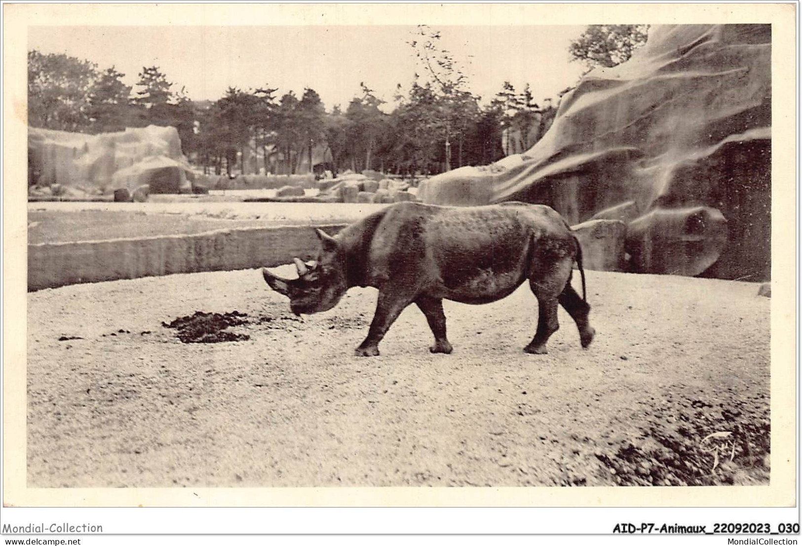 AIDP7-ANIMAUX-0599 - Paris - Jardin Zoologique De Vincennes - Rhinocéros  - Rhinocéros