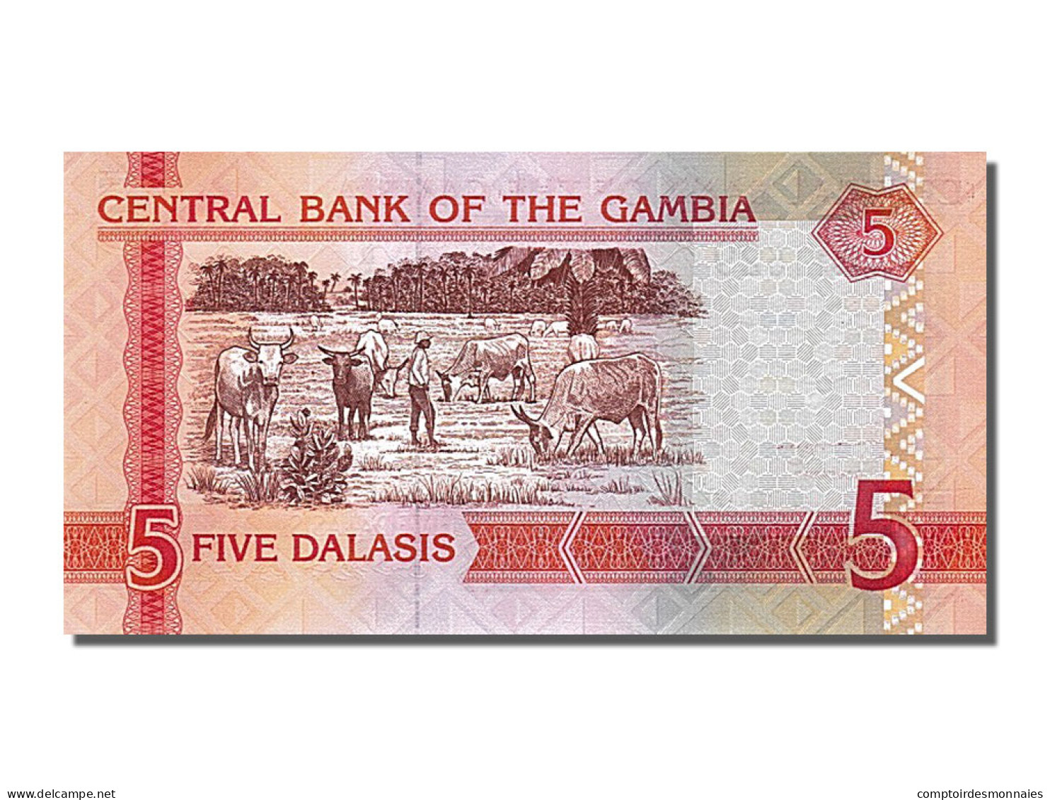 Billet, Gambia, 5 Dalasis, NEUF - Gambia