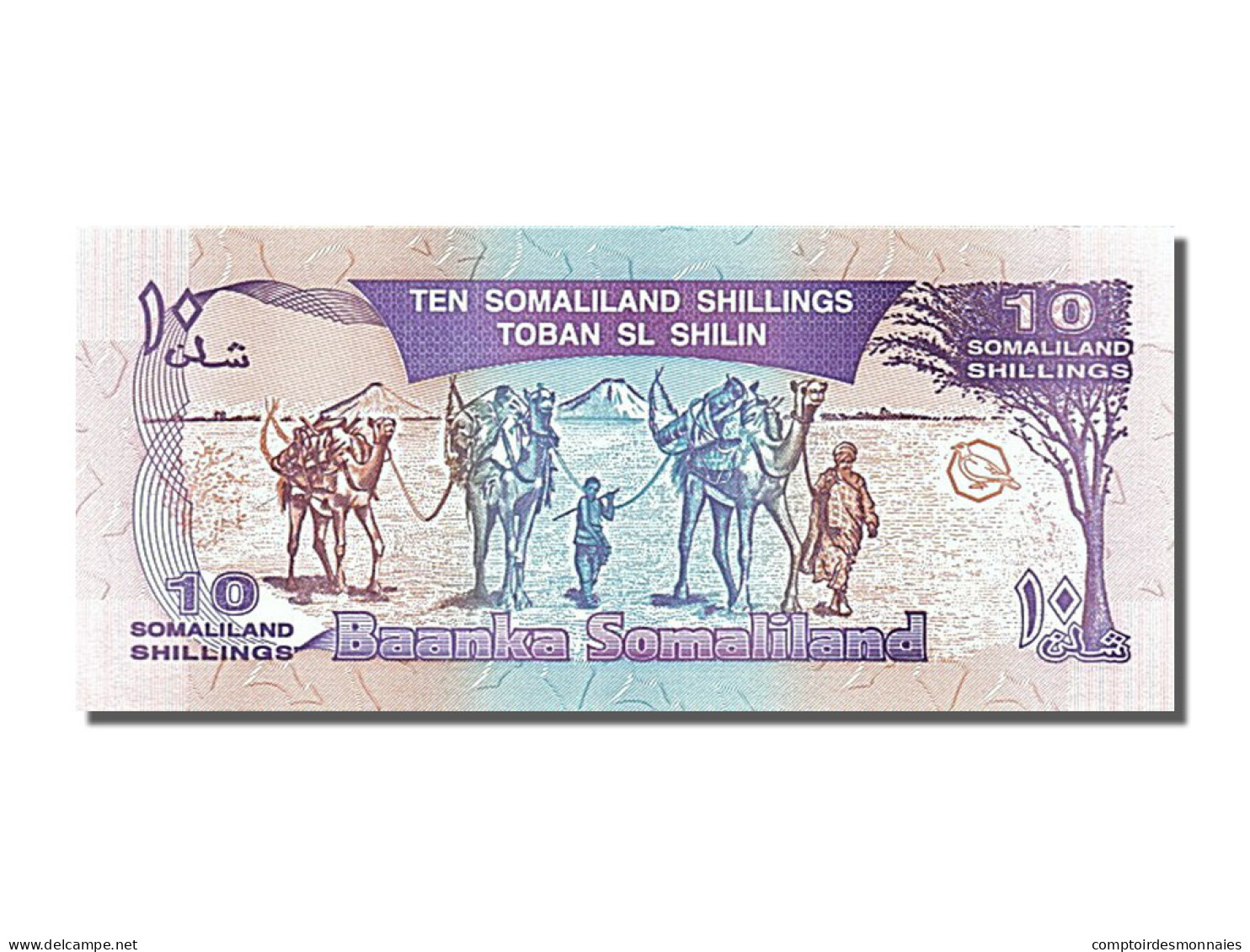 Billet, Somaliland, 10 Shillings = 10 Shilin, 1994, NEUF - Somalië
