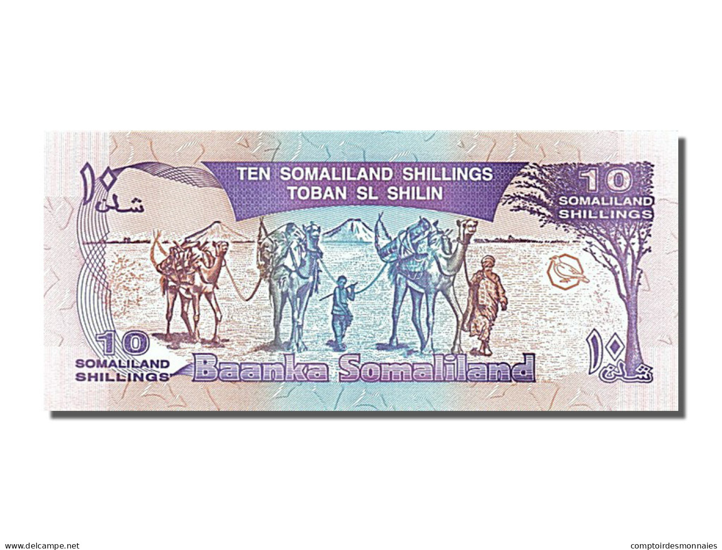 Billet, Somaliland, 10 Shillings = 10 Shilin, 1994, NEUF - Somalia