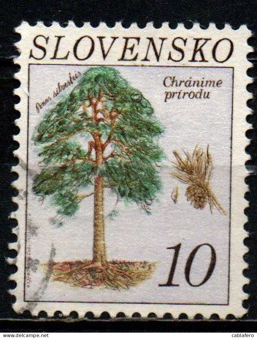 SLOVACCHIA - 1993 - PINO SILVESTRE - USATO - Gebruikt