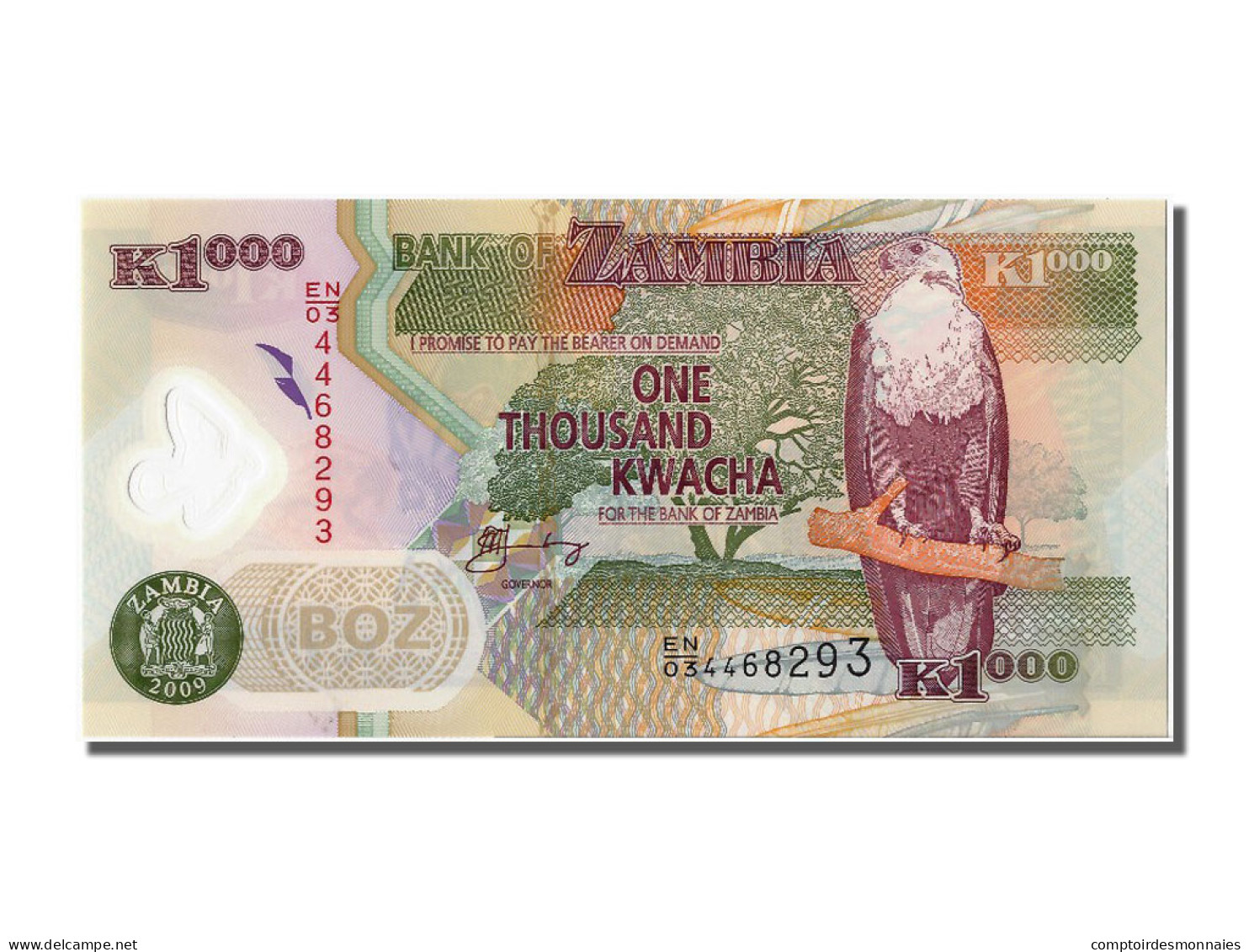 Billet, Zambie, 1000 Kwacha, 2009, NEUF - Zambia