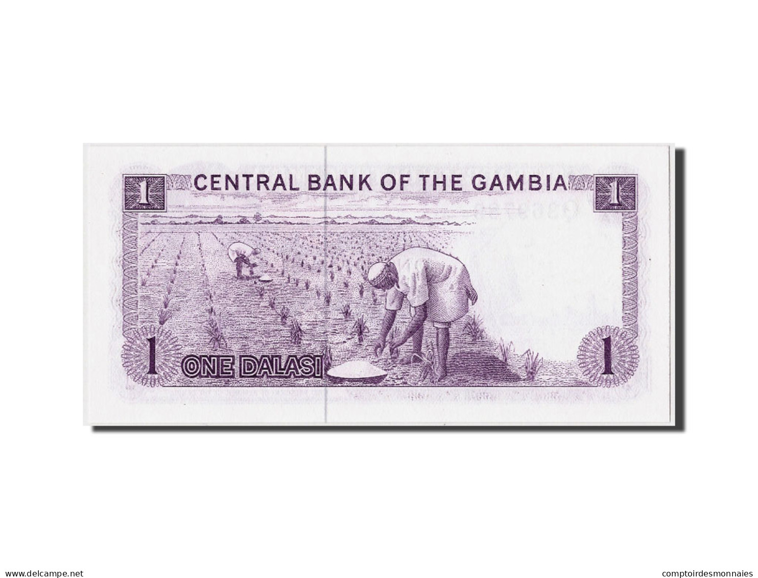 Billet, Gambia, 1 Dalasi, NEUF - Gambia