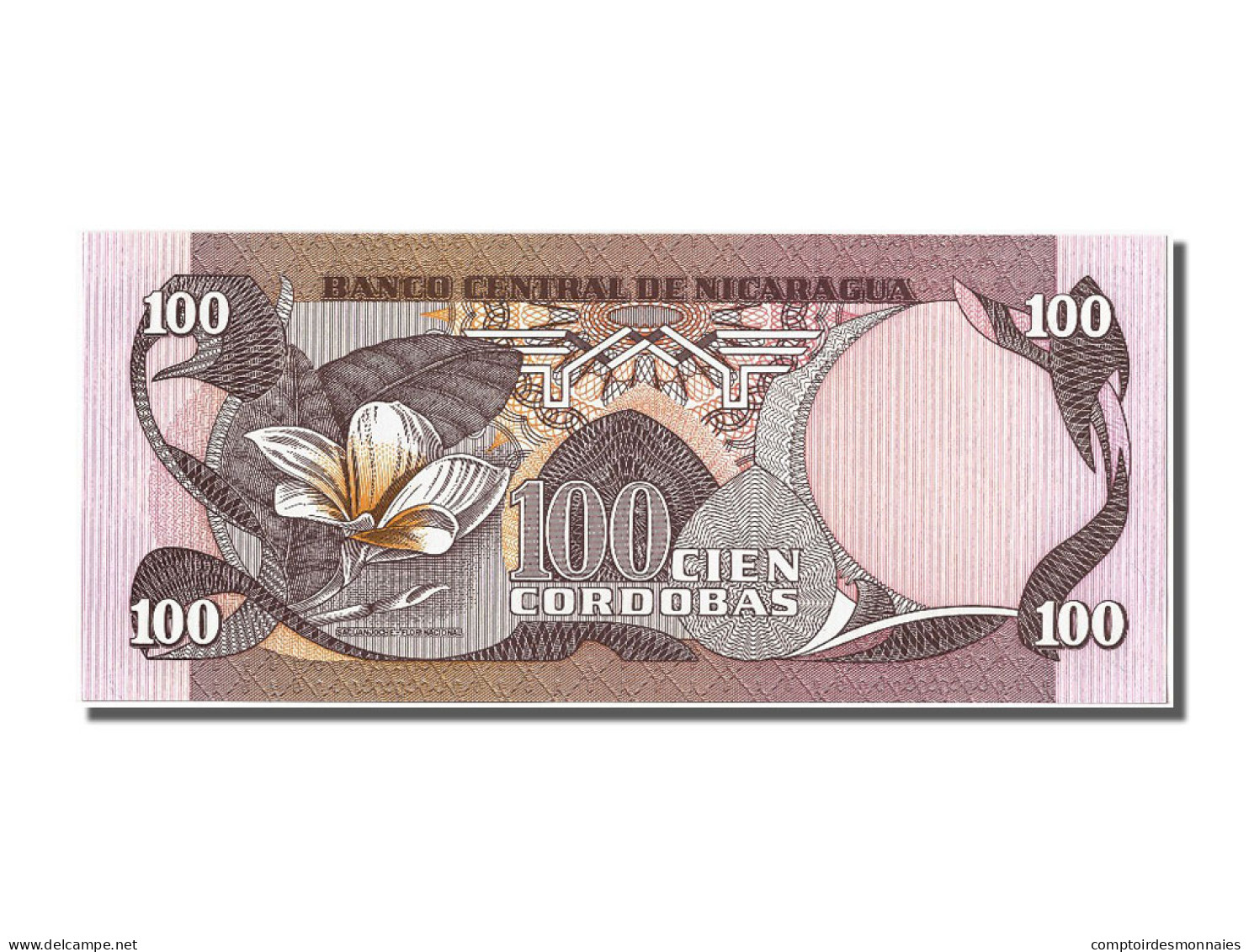 Billet, Nicaragua, 100 Cordobas, 1984, NEUF - Nicaragua