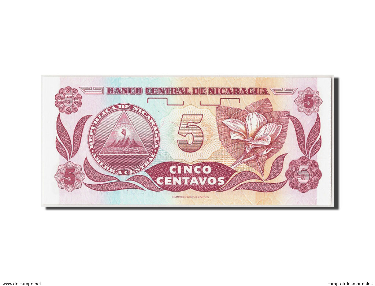 Billet, Nicaragua, 5 Centavos, NEUF - Nicaragua