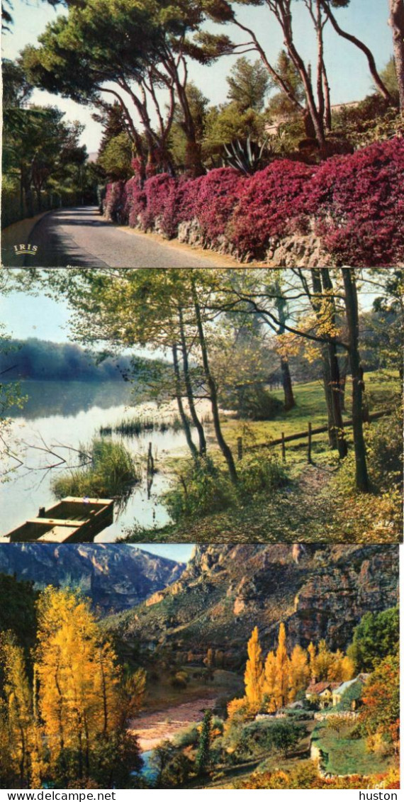 LOT DE 460 CARTES MODERNES DE JARDINS, ARBRES ET FORETS FRANCAIS ET ETRANGERS - 500 Postcards Min.