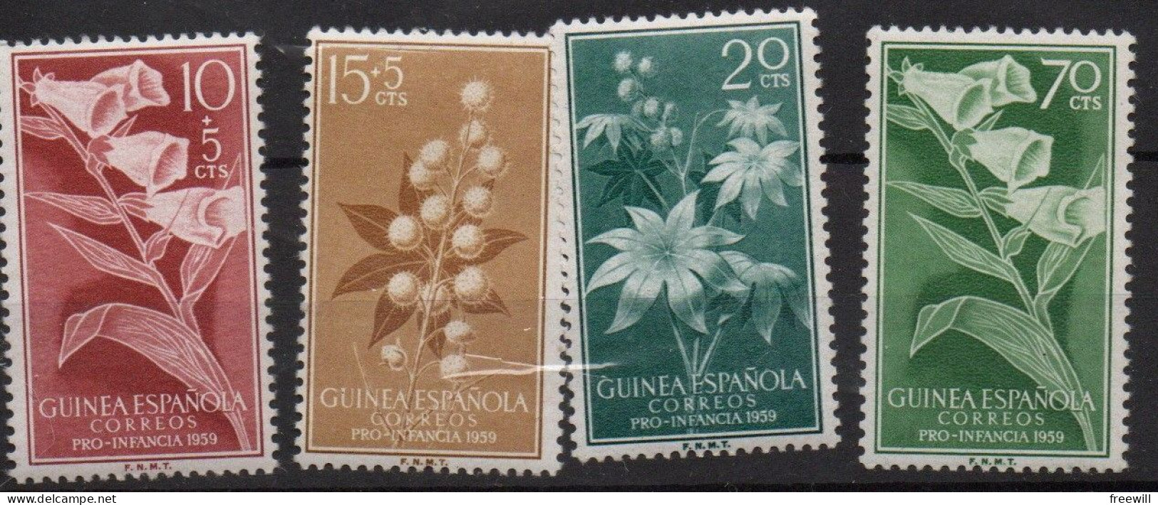 Guinée Espagnole Fleurs-Flowers-Bloemen XXX - Guinée Espagnole