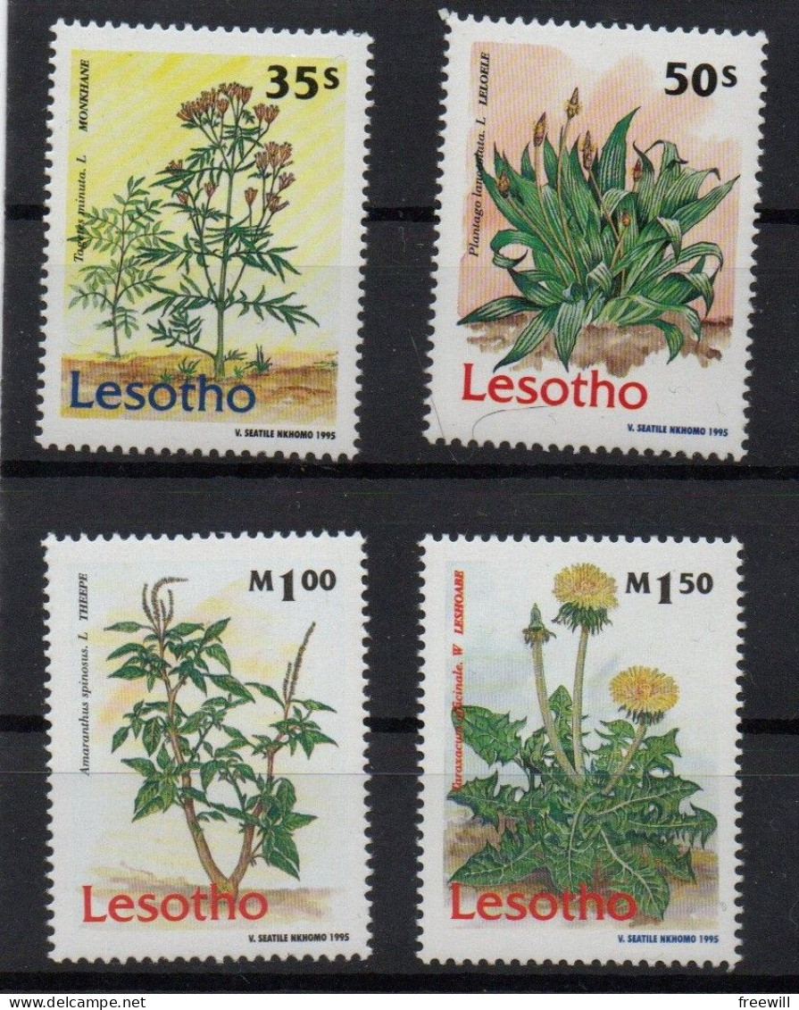 Lesotho Plantes Médicinales 1995 XXX - Lesotho (1966-...)