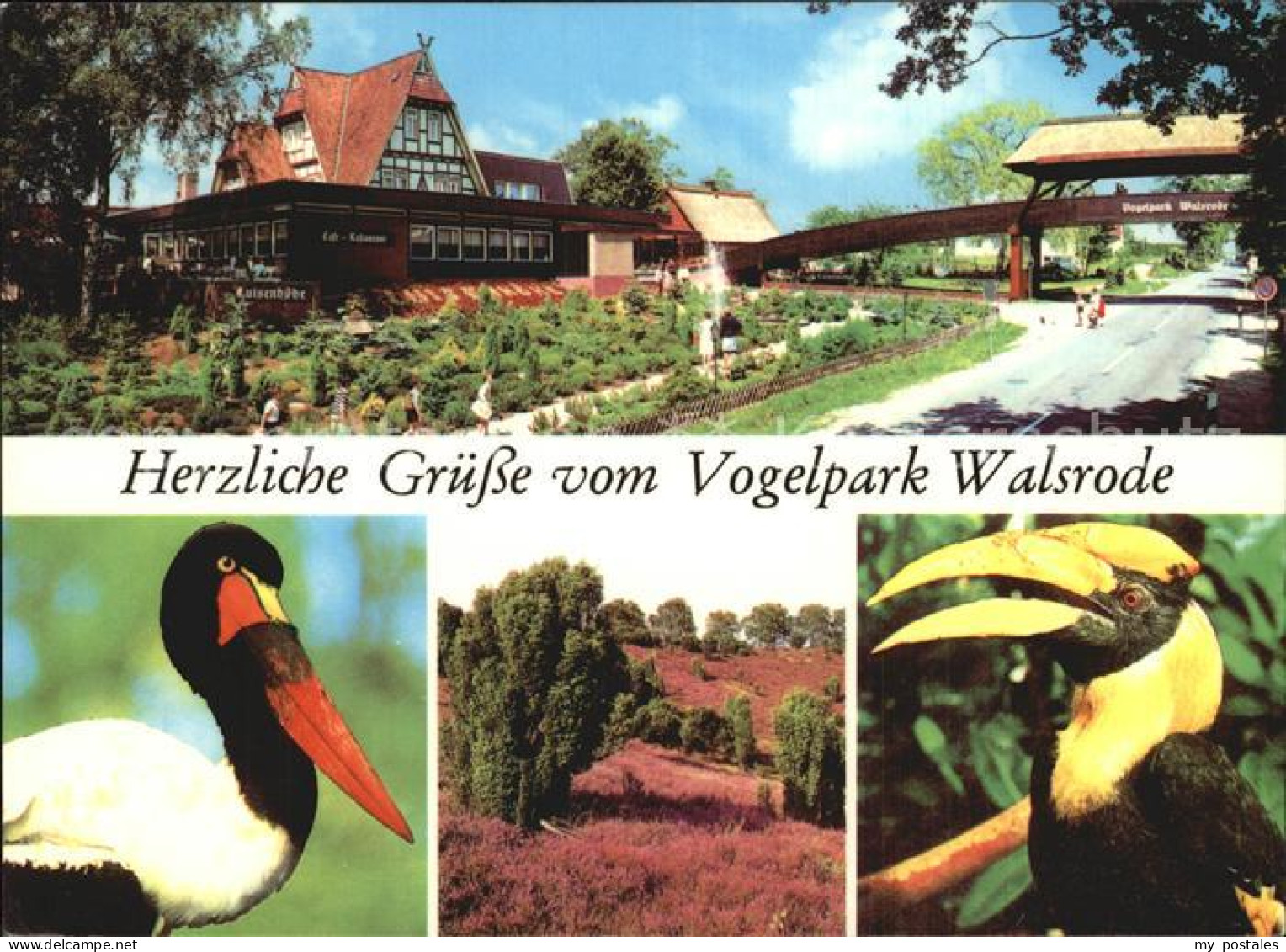 72481987 Walsrode Lueneburger Heide Vogelpark Restaurant Luisenhoehe Walsrode Lu - Walsrode