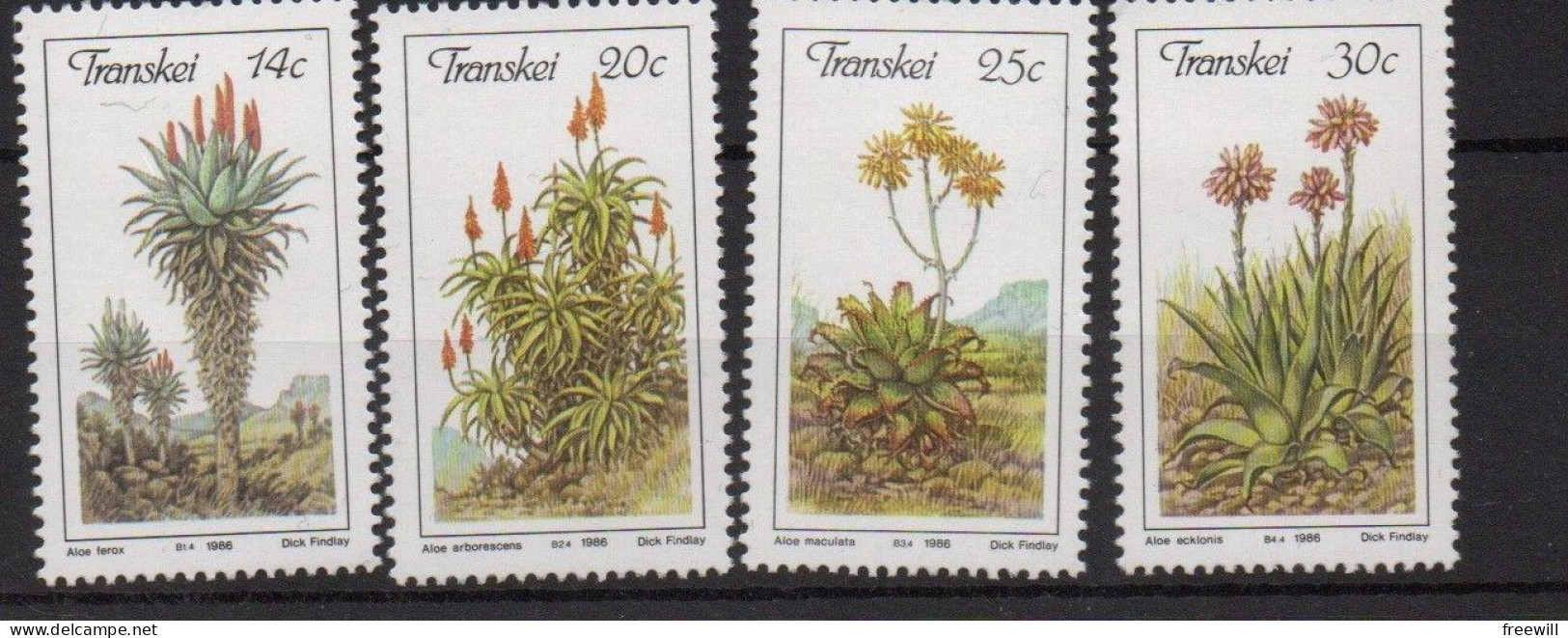 Transkei Plantes -Planten XXX 1986 - Transkei