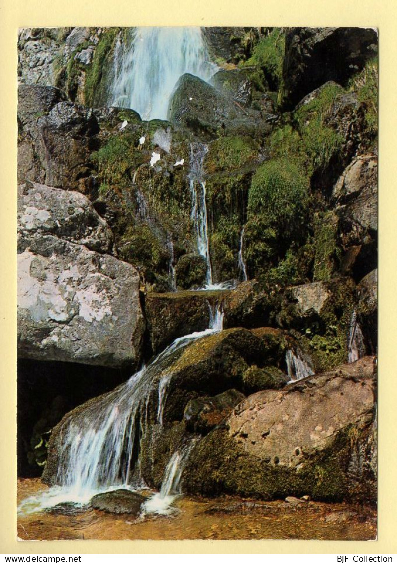 30. MASSIF DU MONT AIGOUAL – Cascade De L'ORGON (voir Scan Recto/verso) - Valleraugue