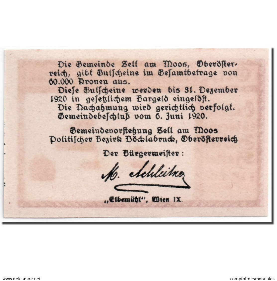 Billet, Autriche, Zell Am Moos, 10 Heller, Paysage, 1920, 1920-06-06, SPL - Austria