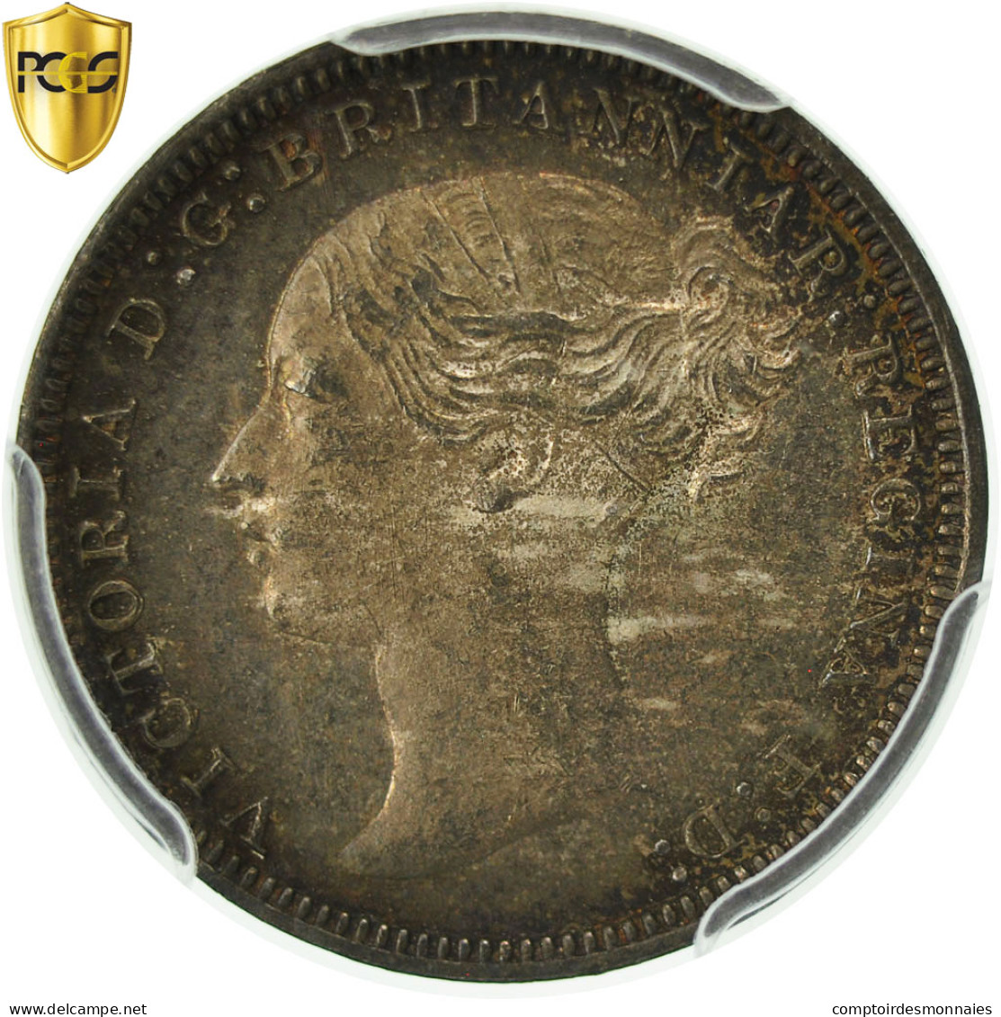 Monnaie, Grande-Bretagne, Victoria, 3 Pence, 1877, PCGS, PL65, FDC, Argent - F. 3 Pence