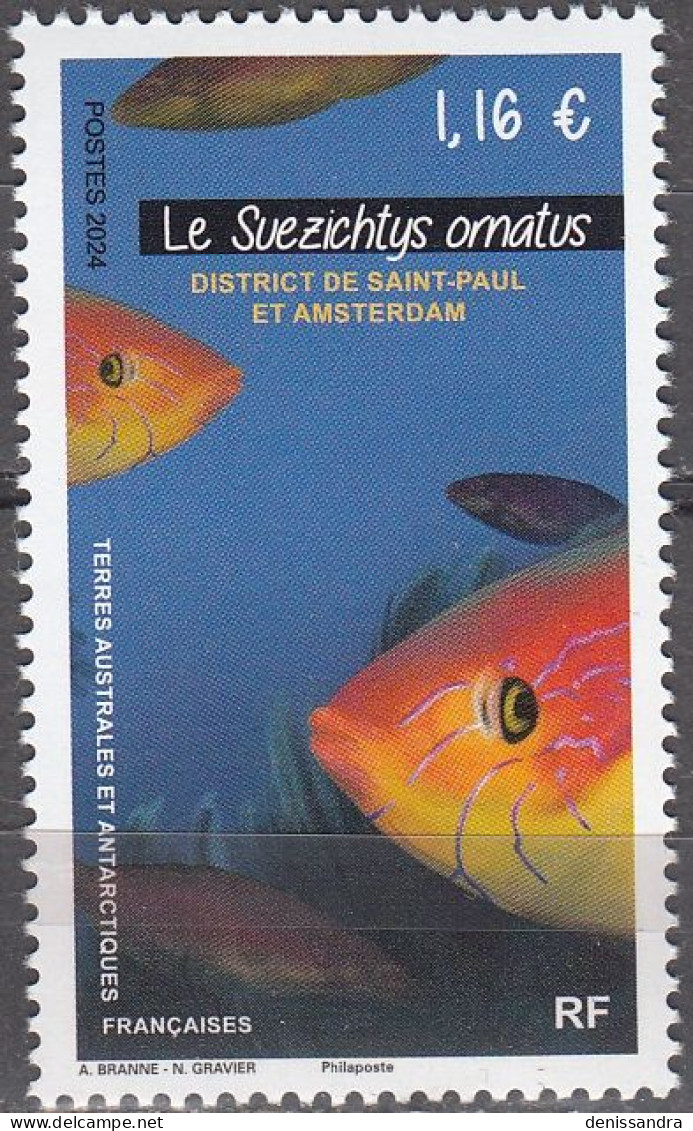 TAAF 2024 Poisson Le Suezichtys Amatus Neuf ** - Unused Stamps