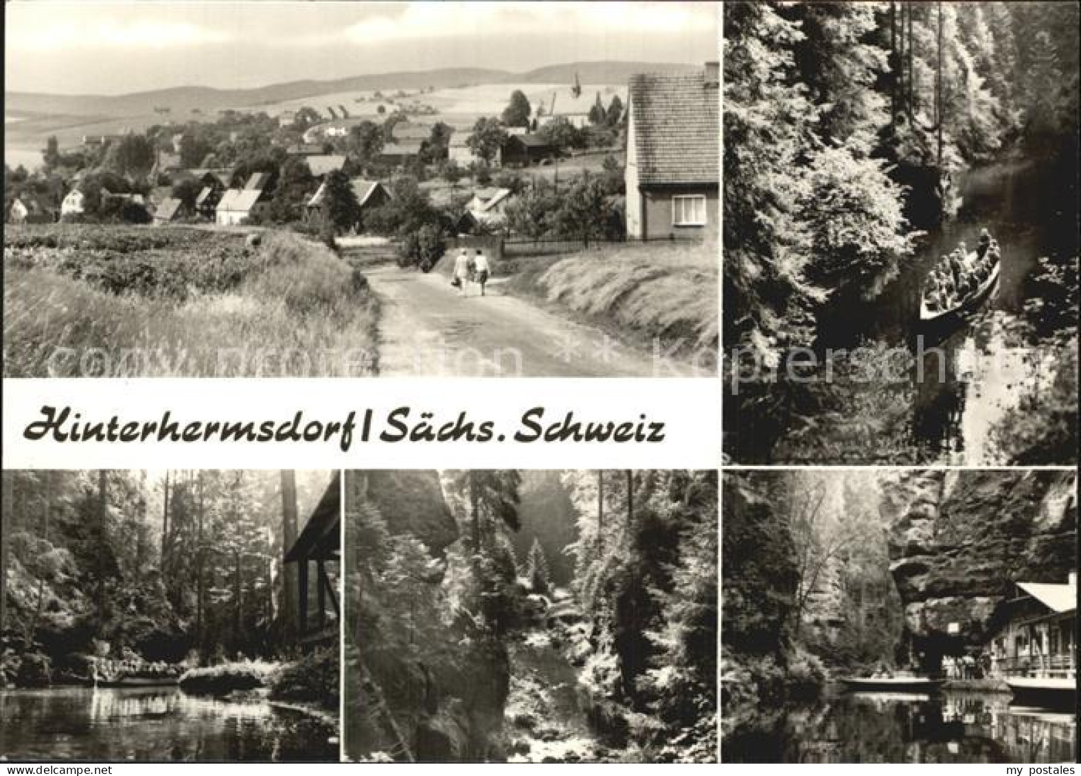 72477087 Hinterhermsdorf Teilansicht Waldschlucht Hinterhermsdorf - Sebnitz