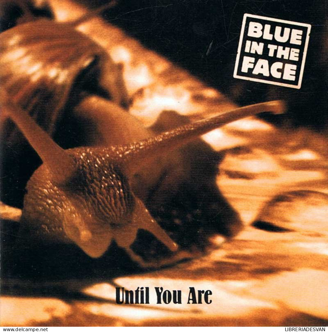 Blue In The Face - Until You Are. CD Single - Rock