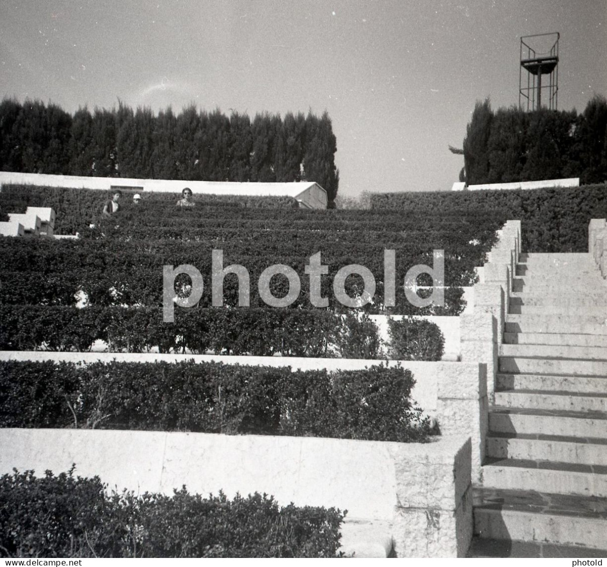 20 NEGATIVES SET 1960s WOMAN FEMME PICNIC BABY PORTUGAL AMATEUR 60mm NEGATIVE NOT PHOTO FOTO