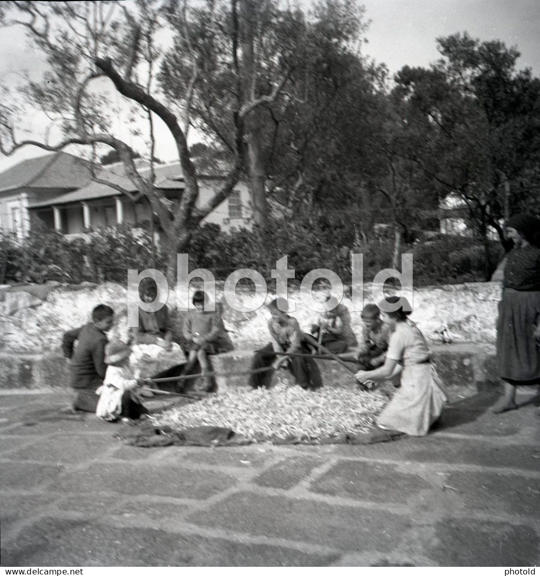 20 NEGATIVES SET 1960s WOMAN FEMME PICNIC BABY PORTUGAL AMATEUR 60mm NEGATIVE NOT PHOTO FOTO