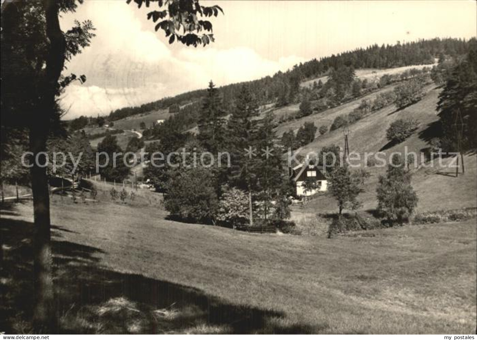 72473573 Doenschten Blick Vom Waldrand Doenschten - Schmiedeberg (Erzgeb.)