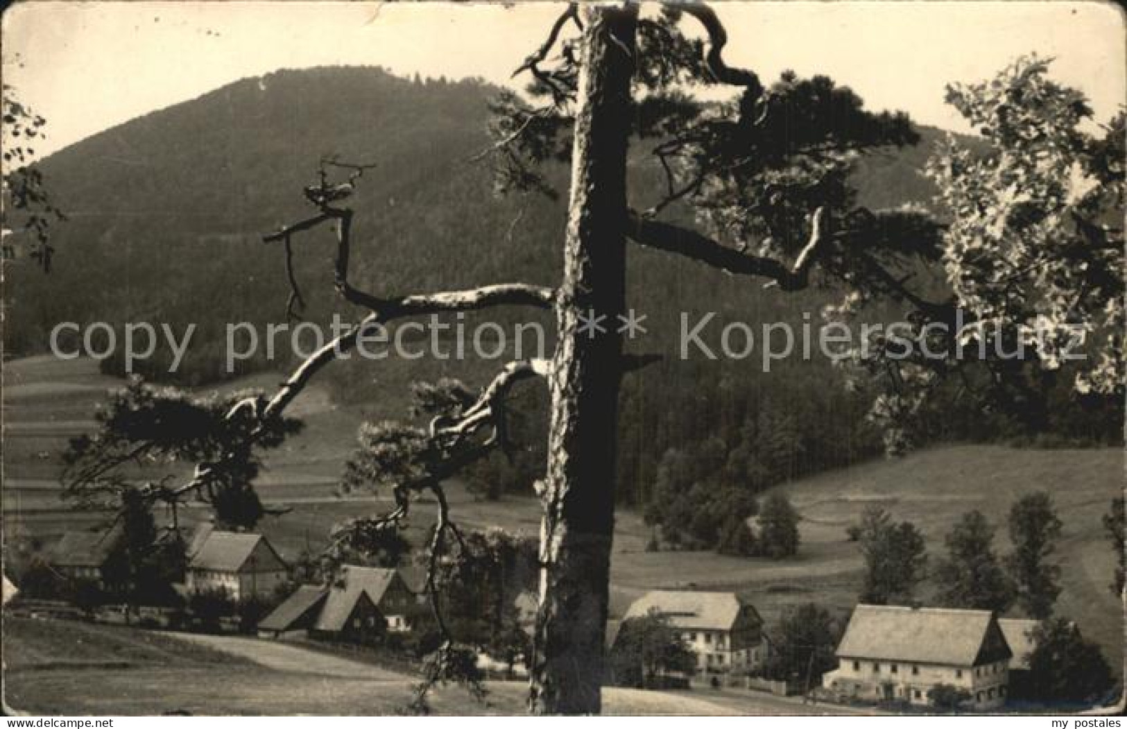 72471772 Waltersdorf Zittau Kurort Zittauer Gebirge Waltersdorf - Grossschoenau (Sachsen)