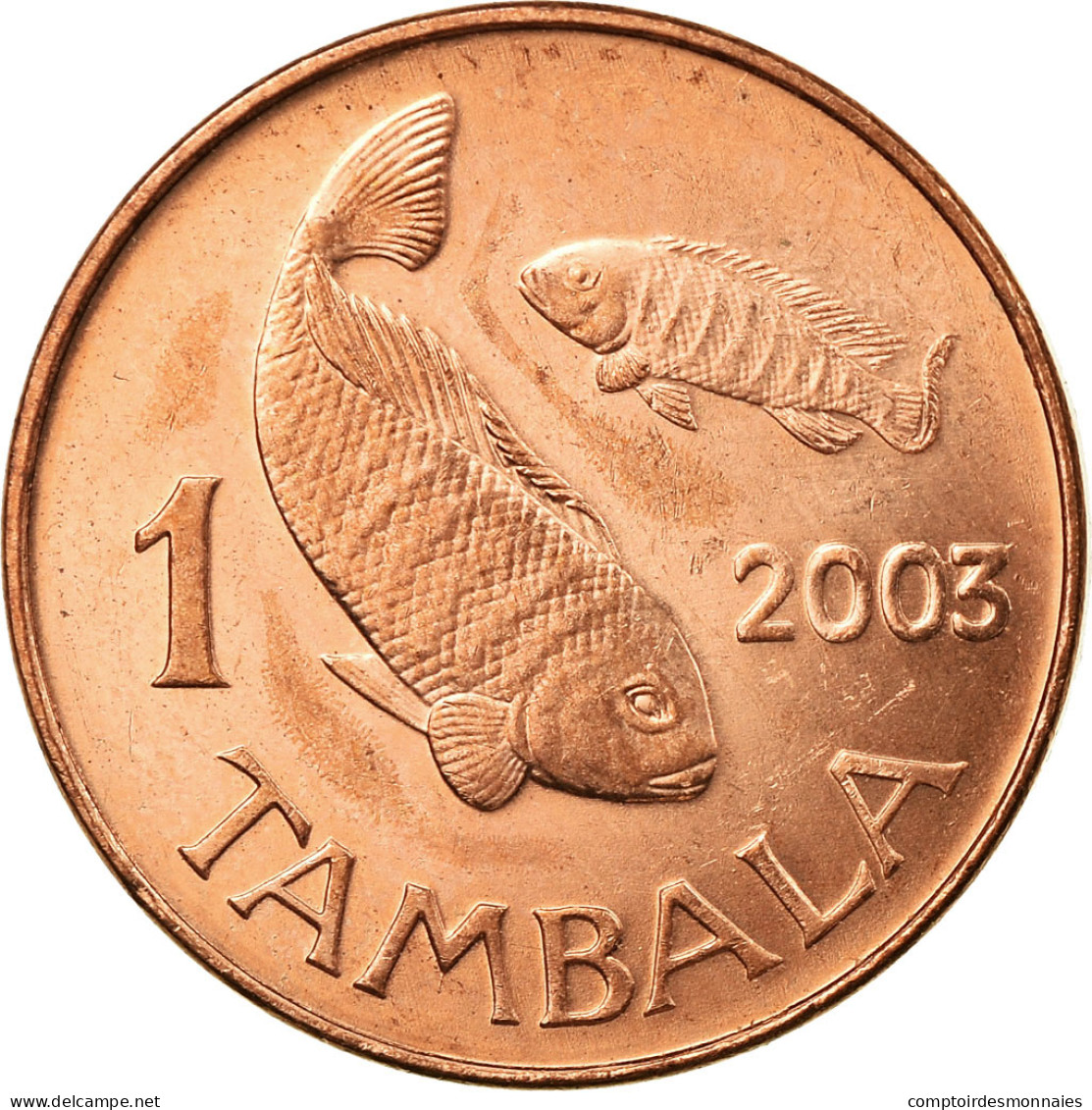 Monnaie, Malawi, Tambala, 2003, TTB, Copper Plated Steel, KM:33a - Malawi