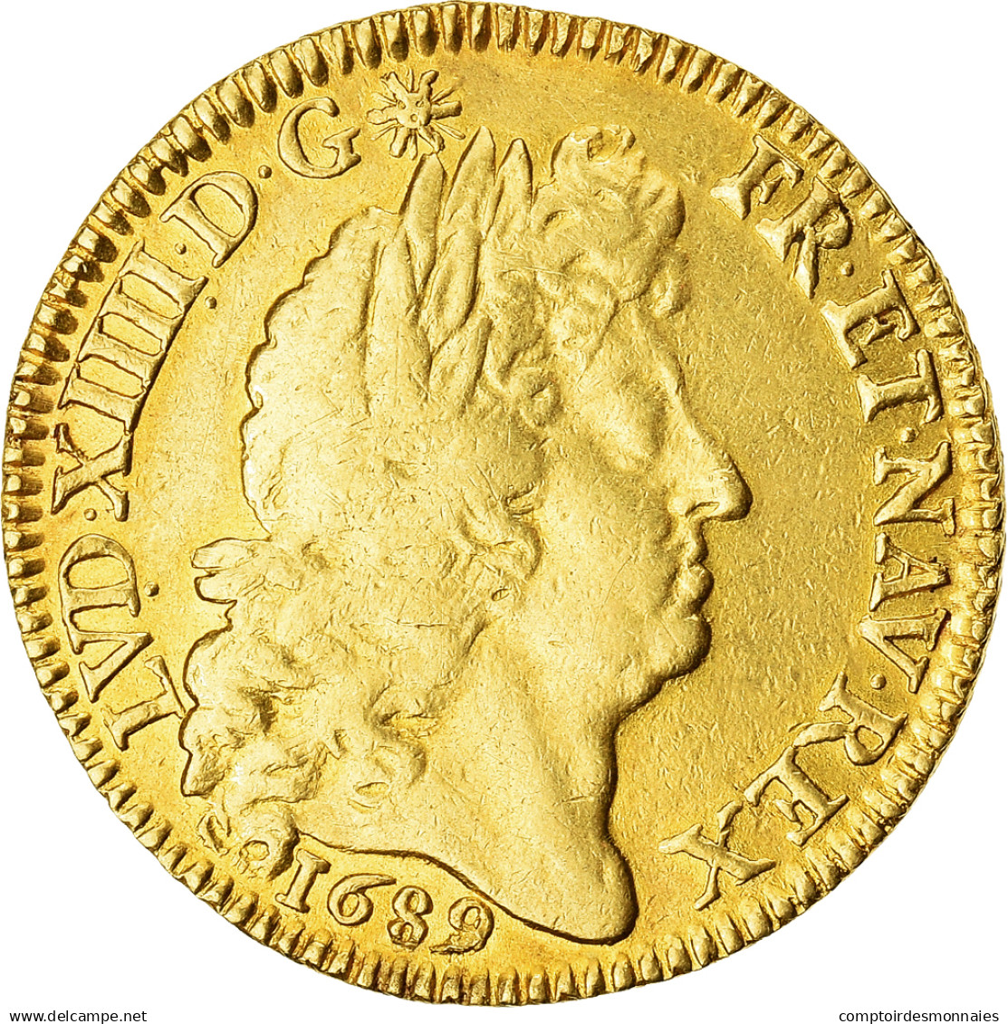 France, Louis XIV, Louis D'Or, Louis D'or à La Perruque, 1689, Paris - 1643-1715 Louis XIV Le Grand