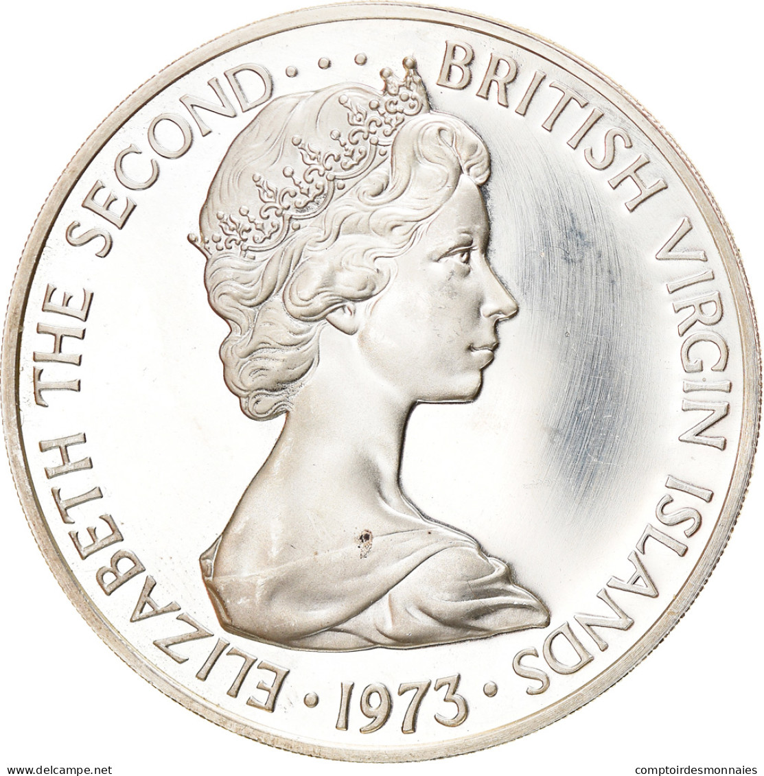 Monnaie, BRITISH VIRGIN ISLANDS, Elizabeth II, Dollar, 1973, Franklin Mint - Jungferninseln, Britische