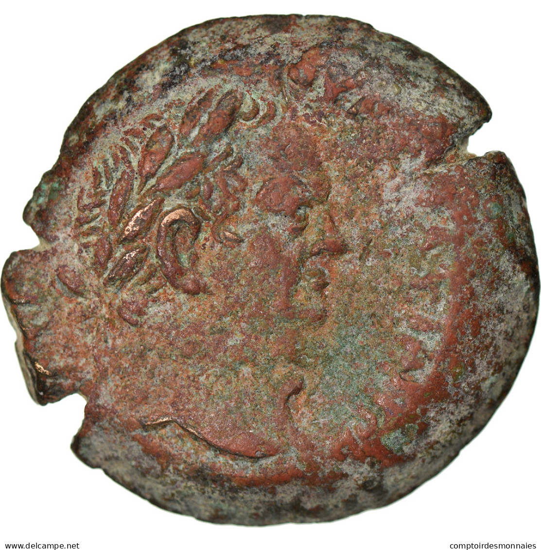 Monnaie, Égypte, Vespasien, Diobole, 72-73, Alexandrie, TB+, Bronze, RPC:2441 - Röm. Provinz