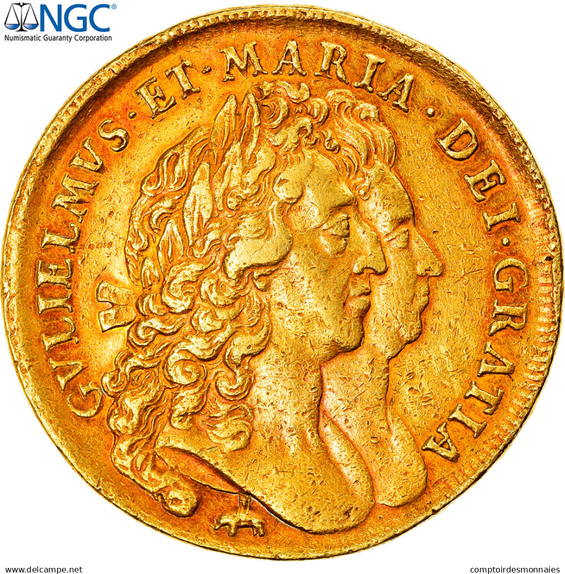 Grande-Bretagne, William And Mary, 5 Guineas, 1691, Londres, Eléphant, Or, NGC - Guinea