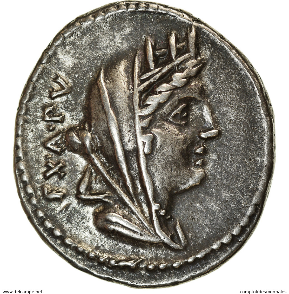 Monnaie, Fabia, Denier, 102 BC, Rome, SUP, Argent, Crawford:322/1b - République (-280 à -27)