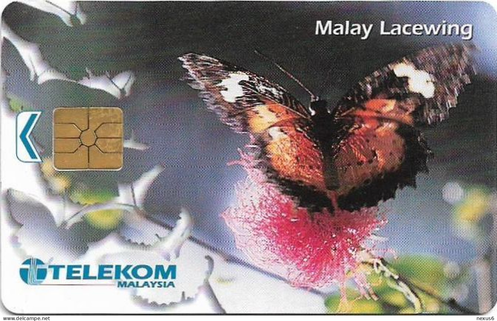 Malaysia - Telekom Malaysia (chip) - Butterflies - Malay Lacewing, Chip Gem1A Symm. Black, 50RM, Used - Malasia