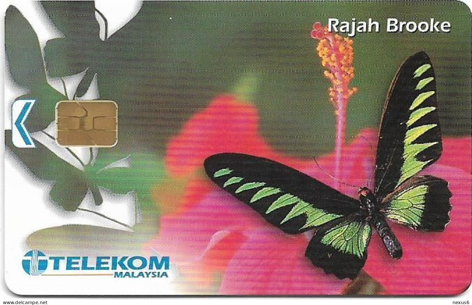Malaysia - Telekom Malaysia (chip) - Butterflies - Rajah Brooke, Chip Siemens S5, 10RM, Used - Malaysia