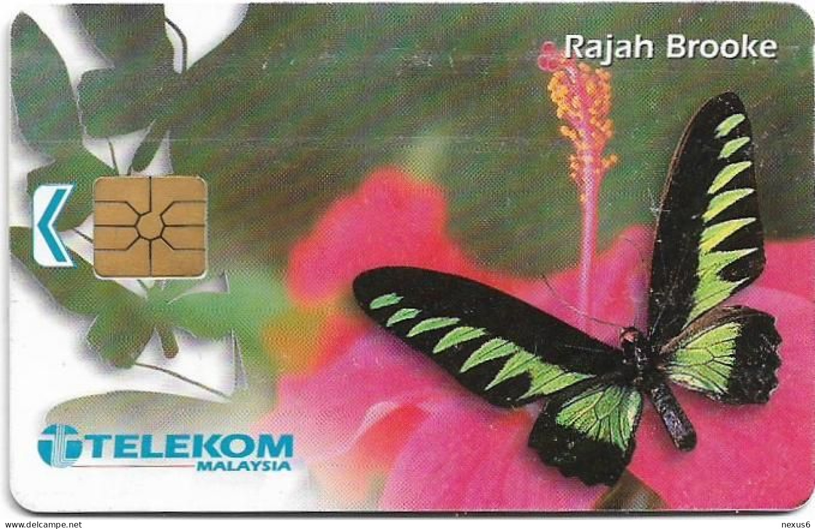 Malaysia - Telekom Malaysia (chip) - Butterflies - Rajah Brooke, Chip Gem1A Symm. Black, 10RM, Used - Malaysia