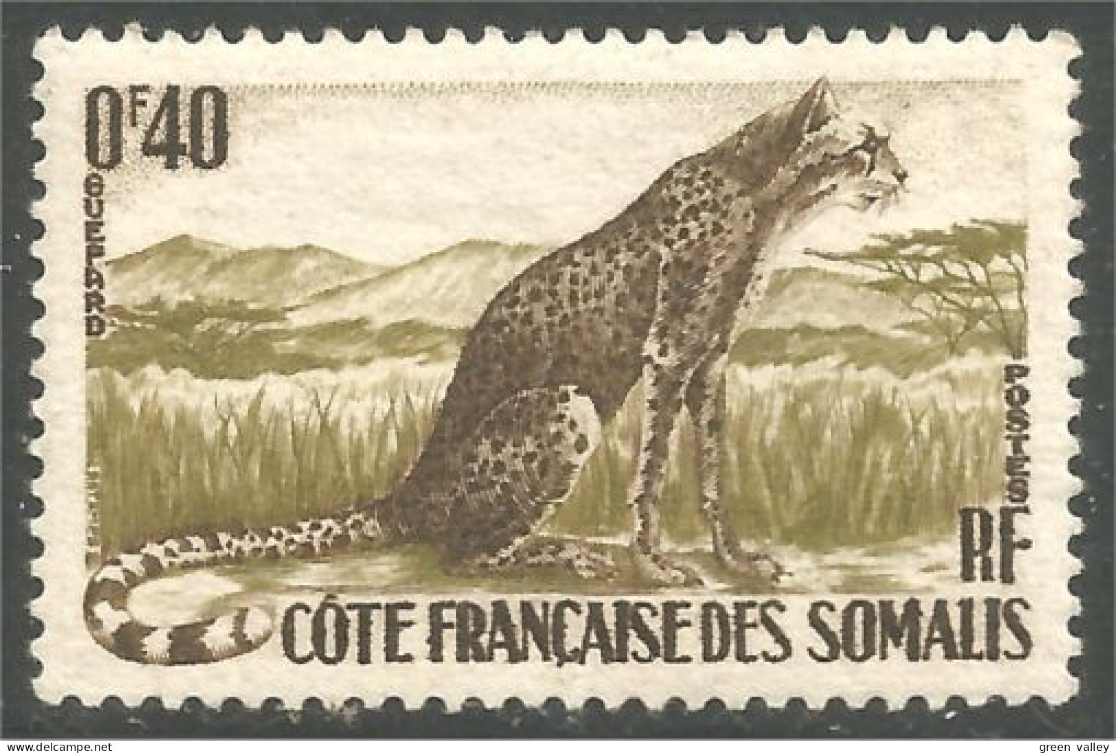 XW01-2804 Cote Des Somalis Guépard Gepard Ghepardo Guepardo Cheetah Sans Gomme - Oblitérés