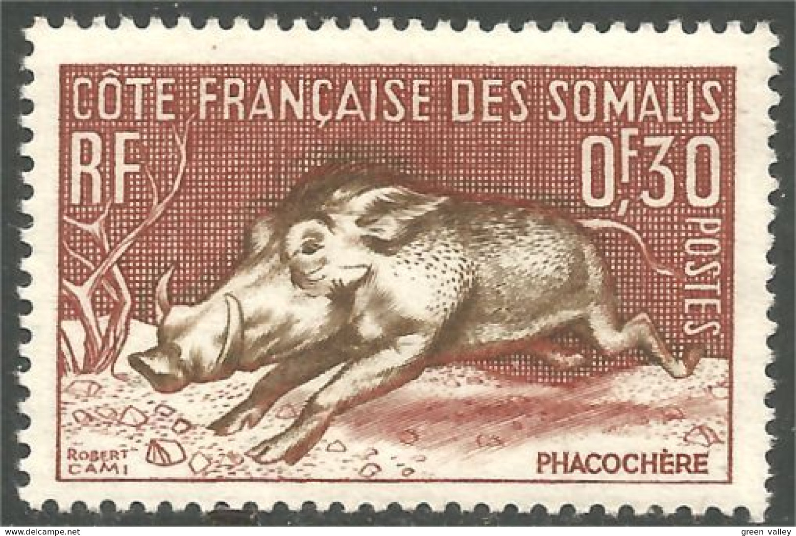 XW01-2801 Cote Des Somalis Phacochère Warthog Jabalí Warzenschwein Facocero Sans Gomme - Oblitérés