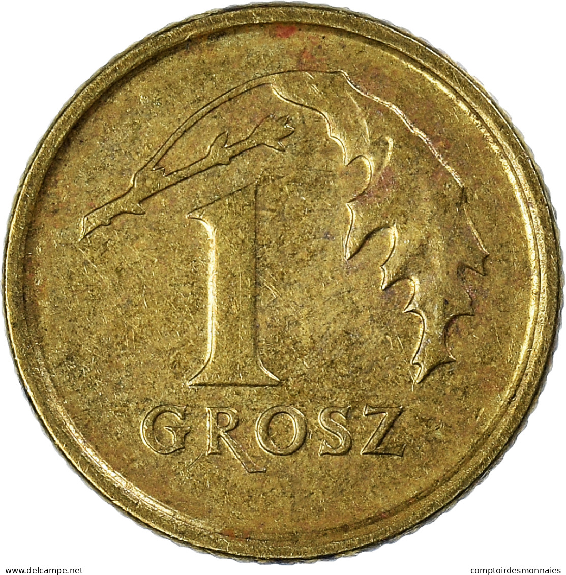 Monnaie, Pologne, Grosz, 2016 - Pologne