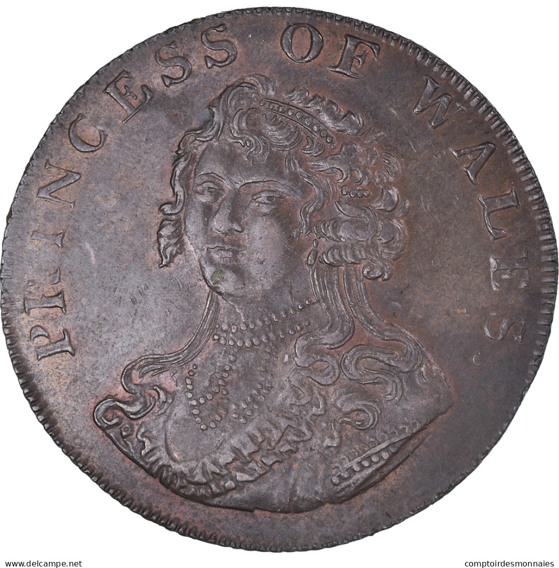 Monnaie, Grande-Bretagne, Middlesex, Princess Of Wales, Halfpenny Token, 1795 - Autres & Non Classés