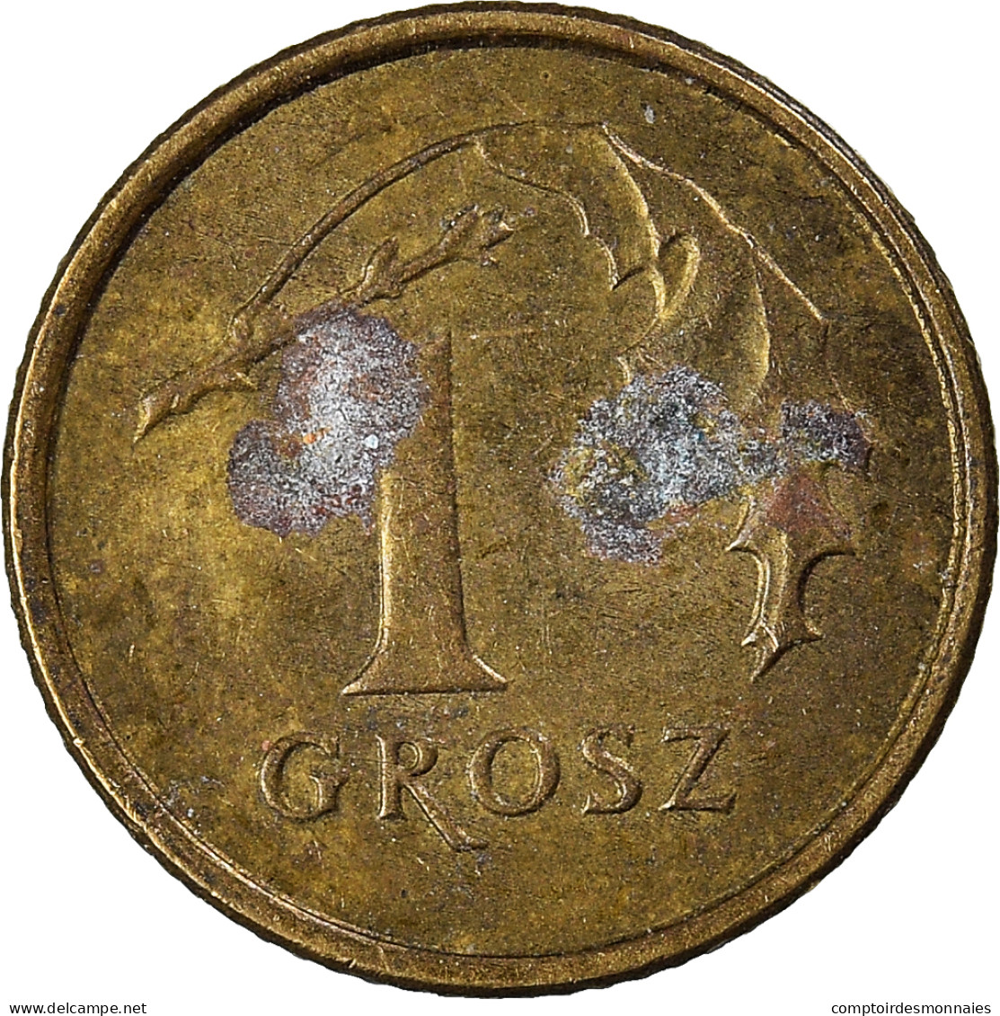 Monnaie, Pologne, Grosz, 2002 - Pologne