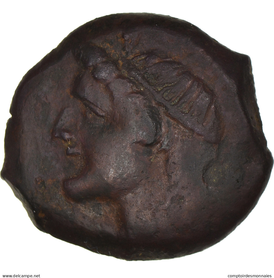 Monnaie, Sarmatia, Bronze Æ, 400-350 BC, Olbia, TTB, Bronze, HGC:3.2-1886 - Grecques