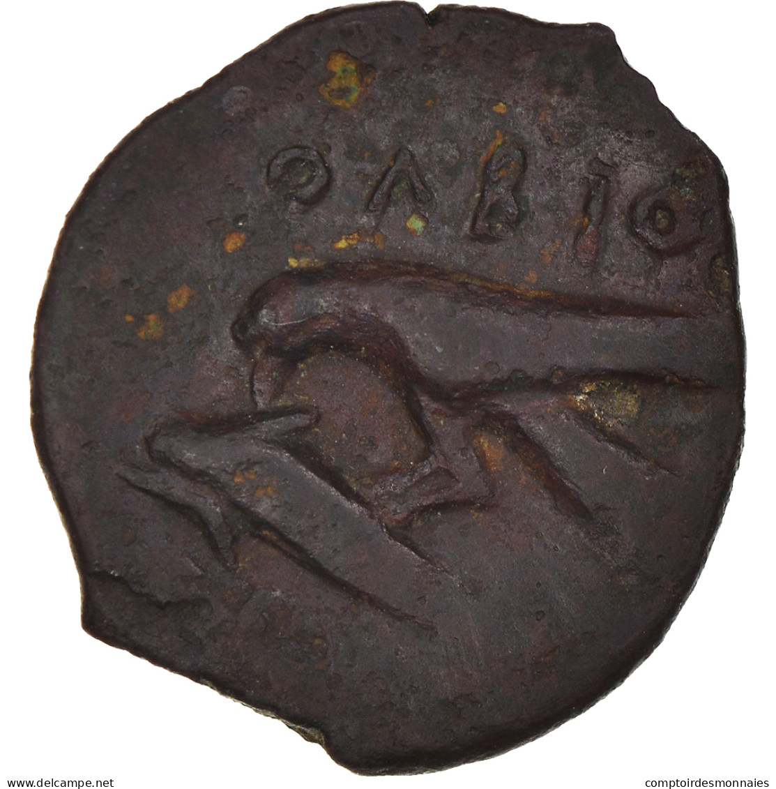 Monnaie, Sarmatia, Bronze Æ, 400-350 BC, Olbia, TTB, Bronze, HGC:3.2-1886 - Grecques