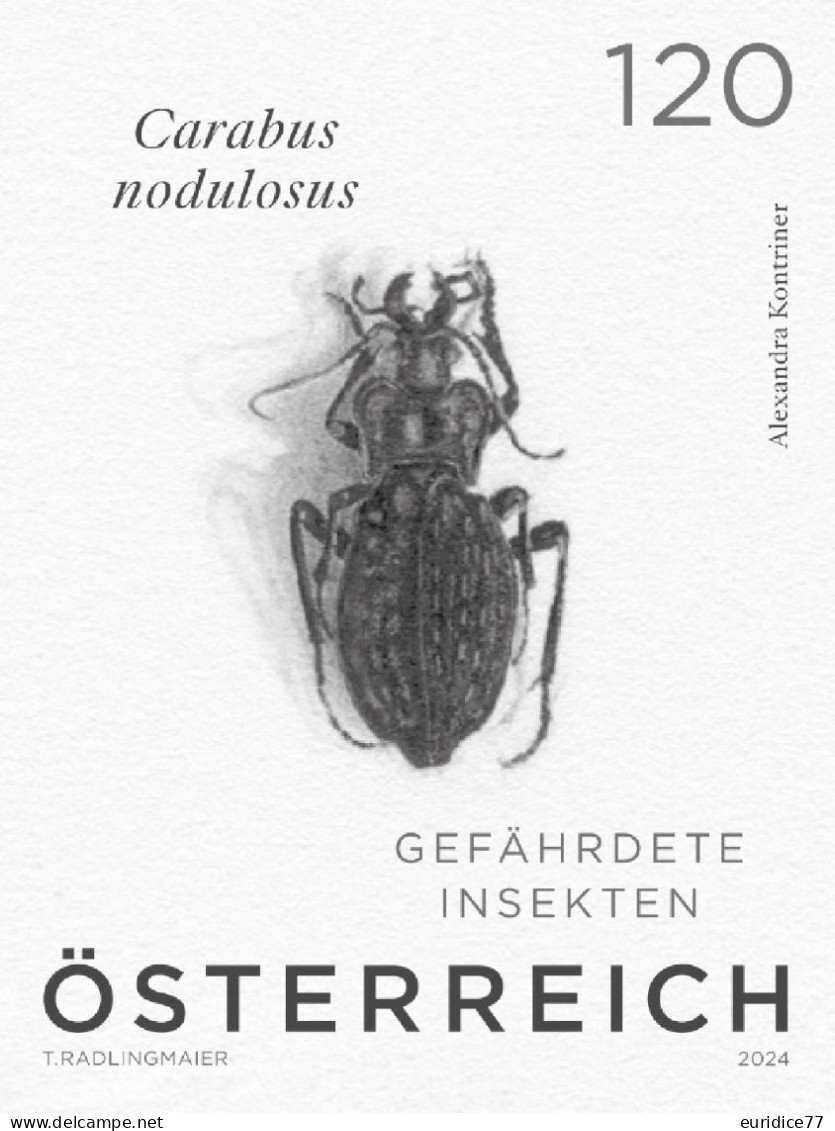 Austria 2024 - Beetle – Carabus Nodulosus Black Print Mnh** - Probe- Und Nachdrucke