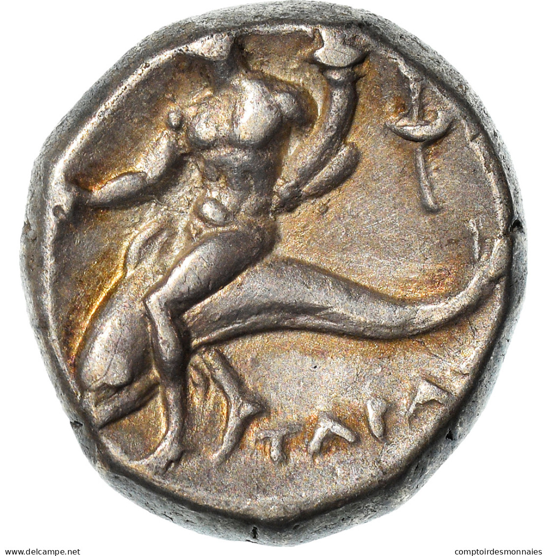 Monnaie, Calabre, Taras, Statère, 272-240 BC, Tarentum, TTB, Argent, HN - Grecques