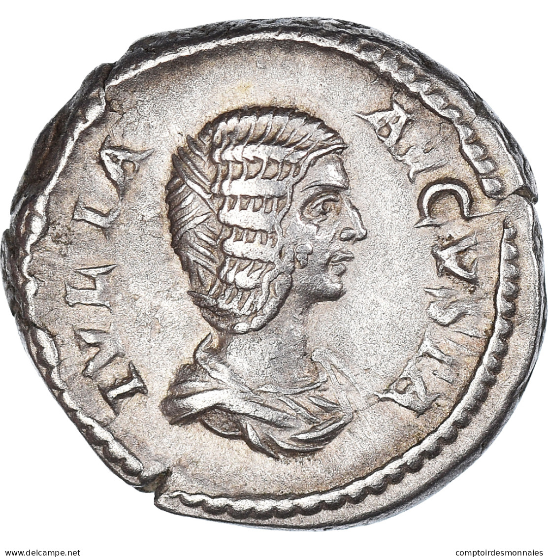 Monnaie, Julia Domna, Denier, 207-211, Rome, TTB+, Argent, RIC:575 - Les Sévères (193 à 235)