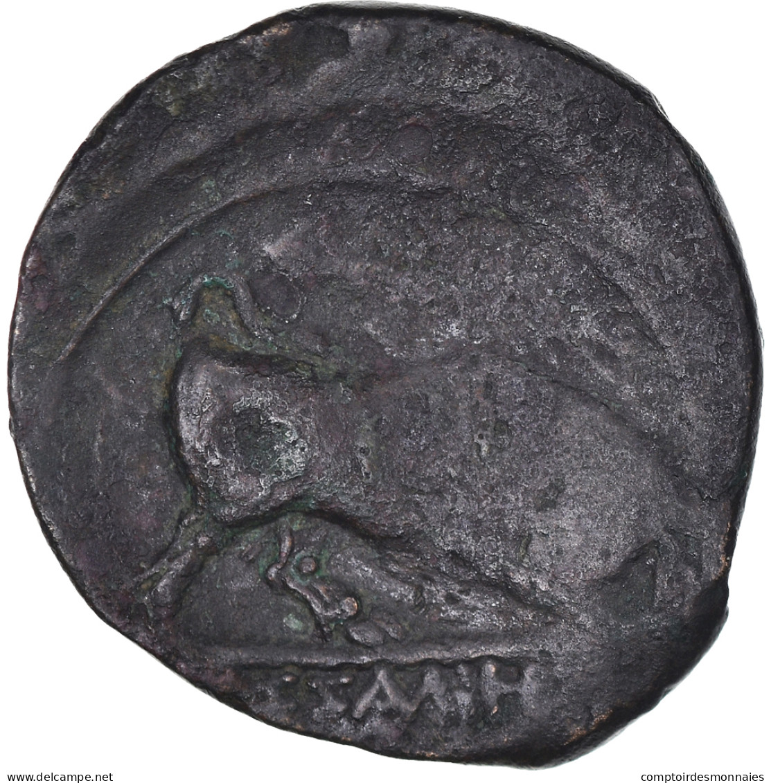 Bronze Æ, 240-215 BC, Bronze, TB+ - Galle